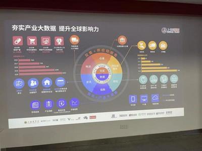 上海互聯(lián)網數(shù)據服務產業(yè)規(guī)劃啟示錄 湖北跟班干部的深刻感悟